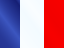 Language flag