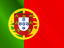 Language flag